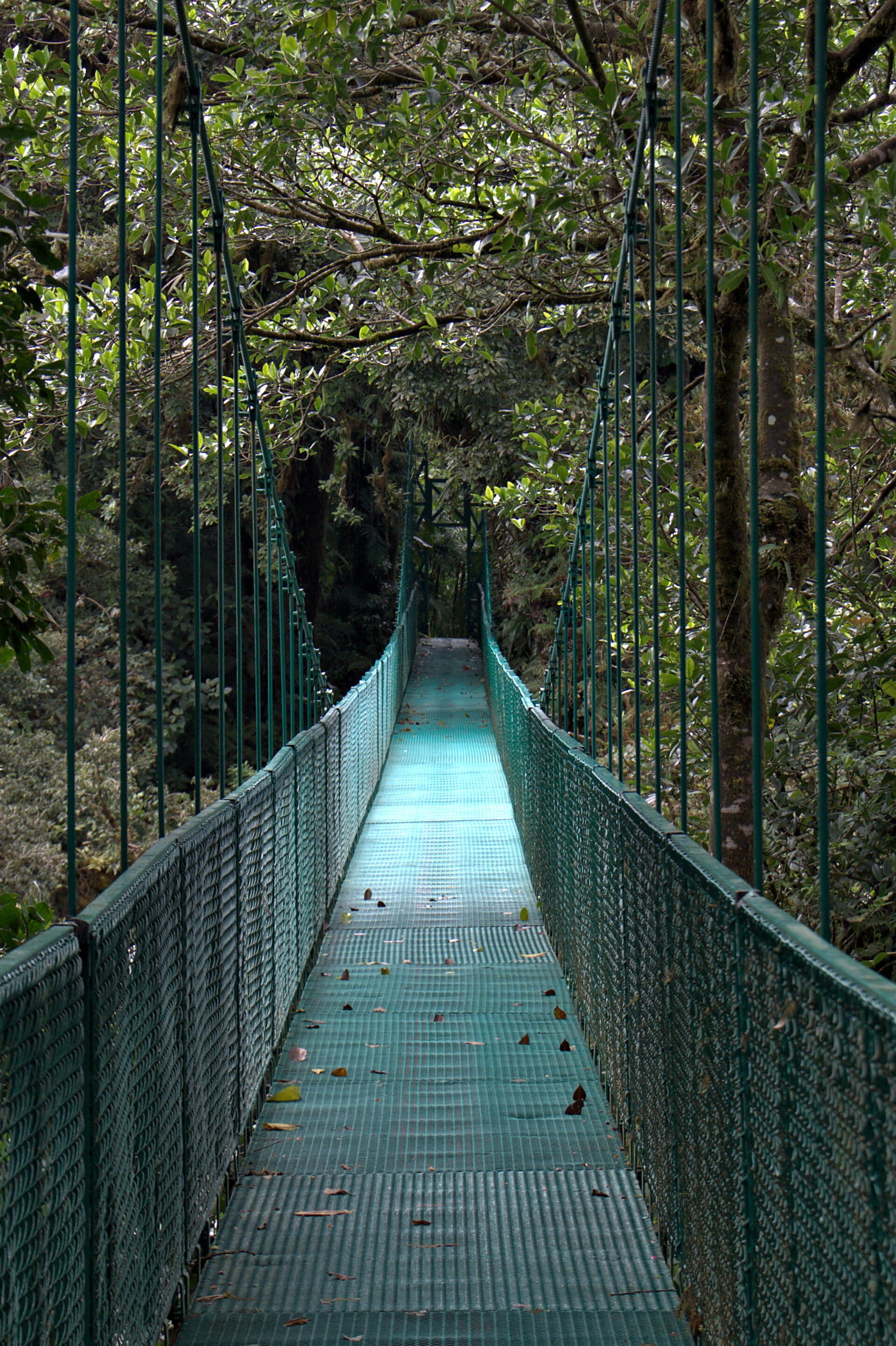 Een hangbrug tussen de bomen in Selvatura Park bij Monteverde